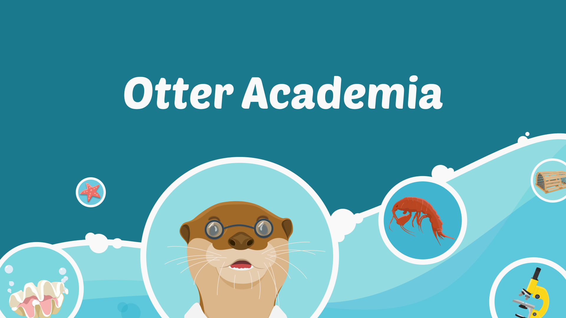 otteracademia