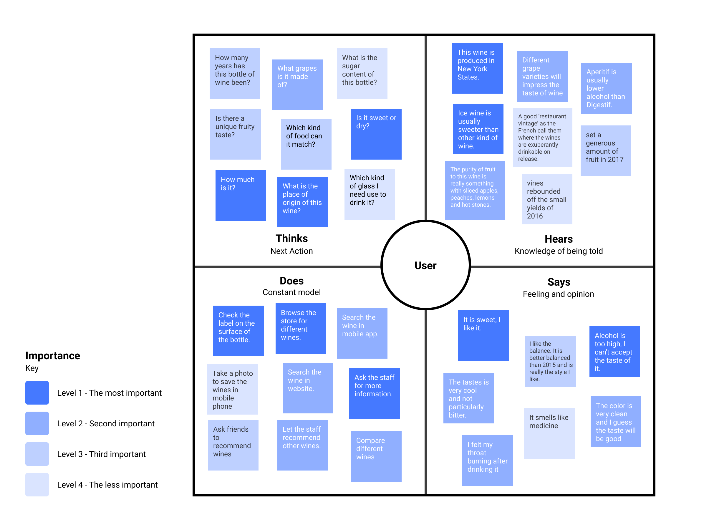 Empathy map