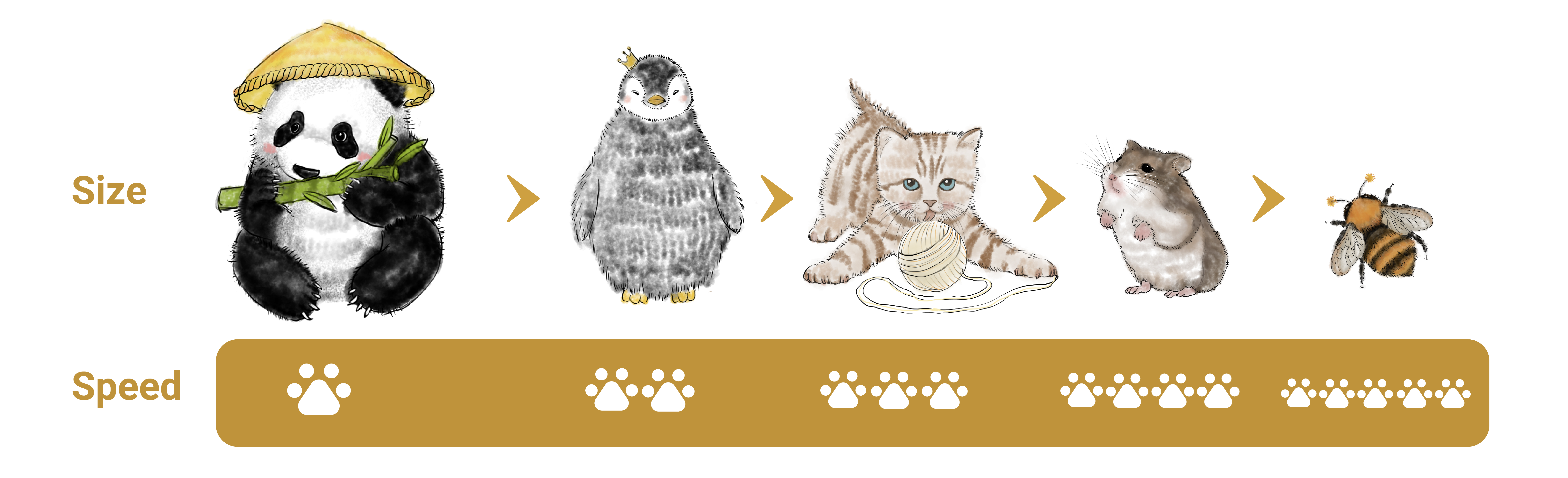 A-05